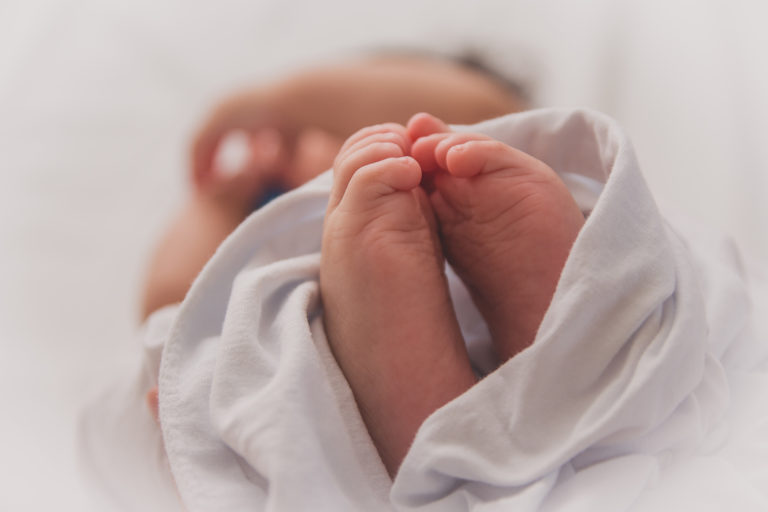 Food & Fertility